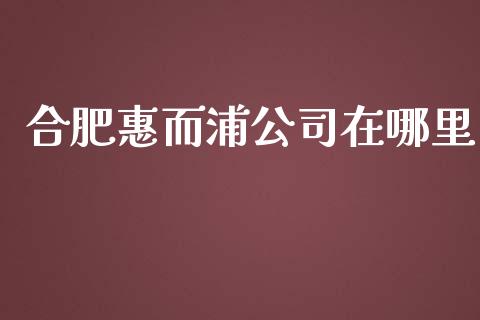 合肥惠而浦公司在哪里_https://cj002.lansai.wang_财经百问_第1张