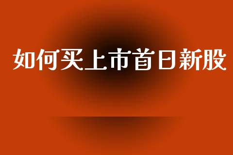 如何买上市首日新股_https://cj002.lansai.wang_股市问答_第1张