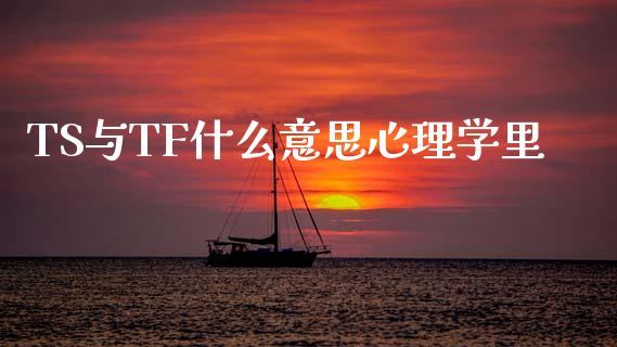 TS与TF什么意思心理学里_https://cj002.lansai.wang_期货问答_第1张