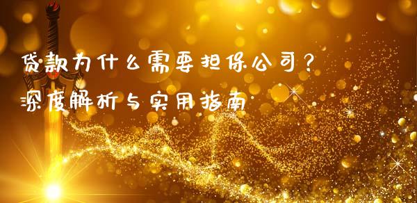 贷款为什么需要担保公司？深度解析与实用指南_https://cj002.lansai.wang_保险问答_第1张