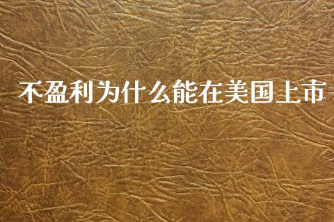 不盈利为什么能在美国上市_https://cj002.lansai.wang_理财问答_第1张