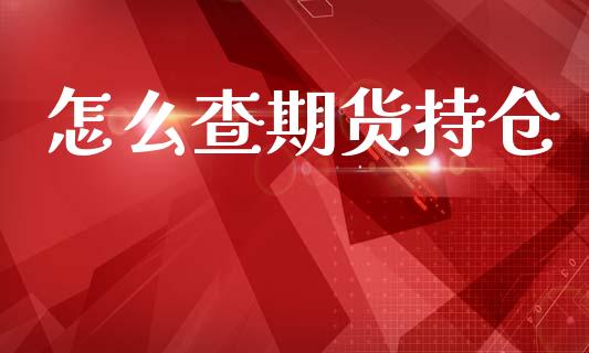 怎么查期货持仓_https://cj002.lansai.wang_股市问答_第1张
