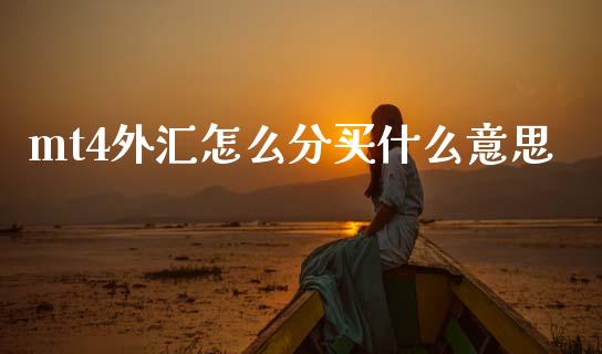 mt4外汇怎么分买什么意思_https://cj002.lansai.wang_财经问答_第1张