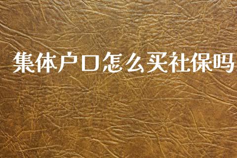 集体户口怎么买社保吗_https://cj002.lansai.wang_保险问答_第1张