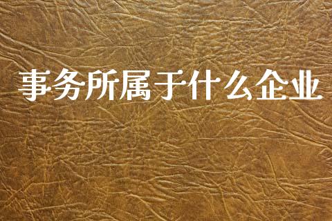 事务所属于什么企业_https://cj002.lansai.wang_会计问答_第1张