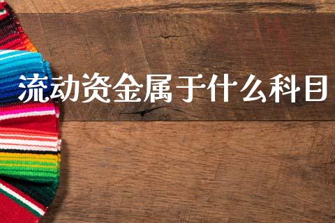 流动资金属于什么科目_https://cj002.lansai.wang_会计问答_第1张