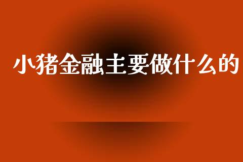 小猪金融主要做什么的_https://cj002.lansai.wang_理财问答_第1张