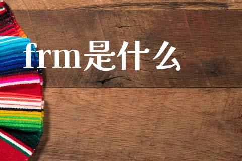 frm是什么_https://cj002.lansai.wang_会计问答_第1张