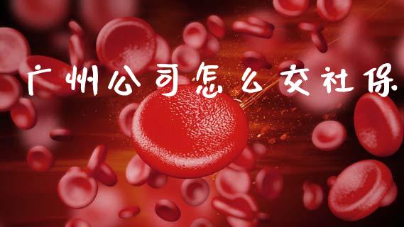 广州公司怎么交社保_https://cj002.lansai.wang_保险问答_第1张