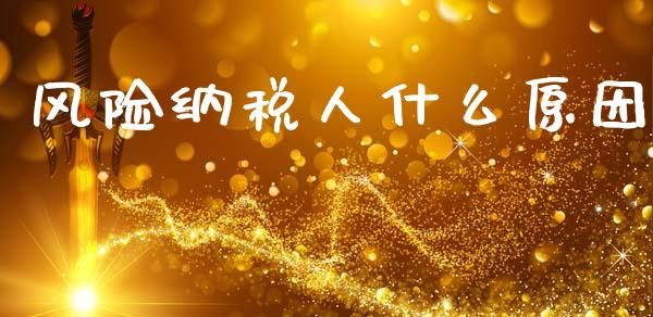 风险纳税人什么原因_https://cj002.lansai.wang_会计问答_第1张