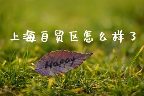 上海自贸区怎么样了_https://cj002.lansai.wang_股市问答_第1张