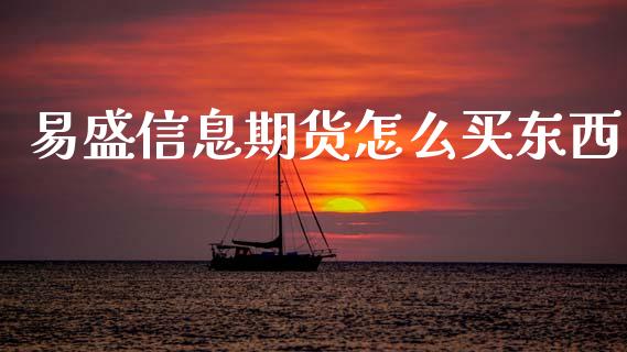 易盛信息期货怎么买东西_https://cj002.lansai.wang_期货问答_第1张