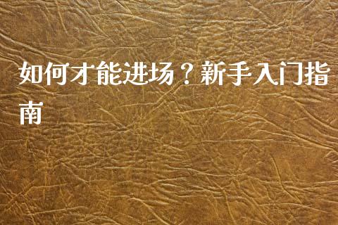 如何才能进场？新手入门指南_https://cj002.lansai.wang_财经百问_第1张