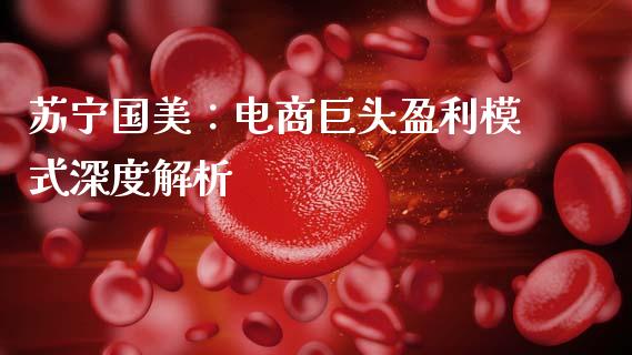 苏宁国美：电商巨头盈利模式深度解析_https://cj002.lansai.wang_股市问答_第1张