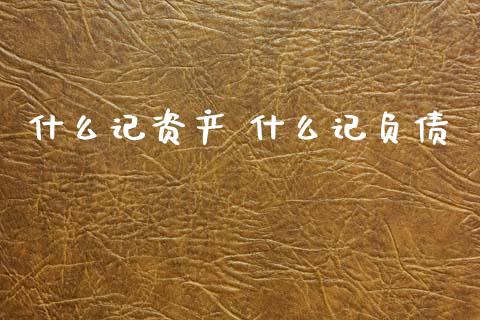 什么记资产 什么记负债_https://cj002.lansai.wang_会计问答_第1张
