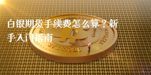 白银期货手续费怎么算？新手入门指南_https://cj002.lansai.wang_期货问答_第1张