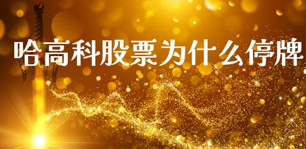 哈高科股票为什么停牌_https://cj002.lansai.wang_财经问答_第1张
