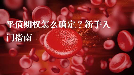 平值期权怎么确定？新手入门指南_https://cj002.lansai.wang_财经百问_第1张