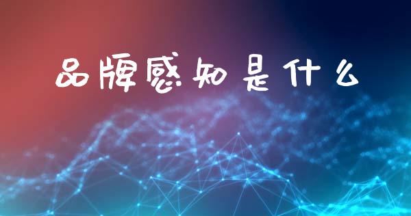 品牌感知是什么_https://cj002.lansai.wang_金融问答_第1张