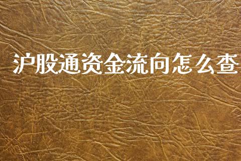 沪股通资金流向怎么查_金融问答_第1张_财经百问网 沪股通资金流向怎么查_https://cj002.lansai.wang_金融问答_第1张