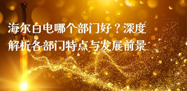 海尔白电哪个部门好？深度解析各部门特点与发展前景_https://cj002.lansai.wang_期货问答_第1张