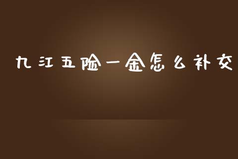 九江五险一金怎么补交_https://cj002.lansai.wang_保险问答_第1张