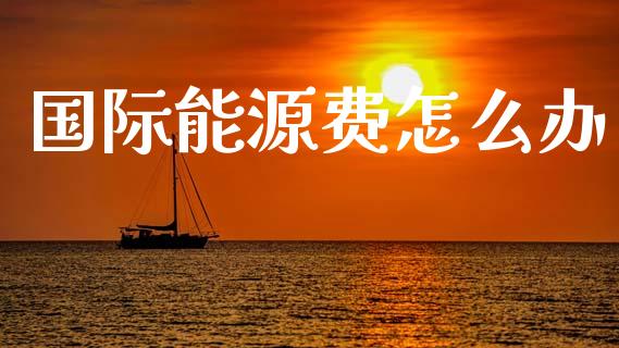 国际能源费怎么办_https://cj002.lansai.wang_期货问答_第1张