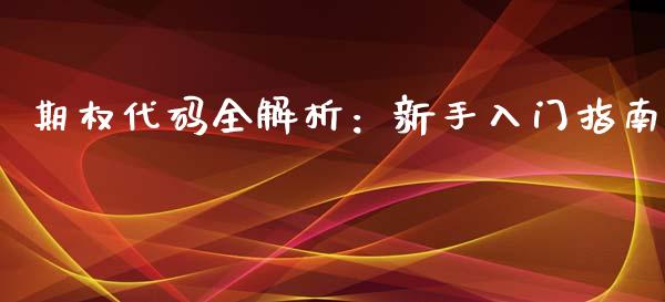期权代码全解析：新手入门指南_https://cj002.lansai.wang_股市问答_第1张
