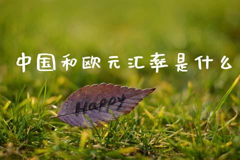 中国和欧元汇率是什么_https://cj002.lansai.wang_财经问答_第1张
