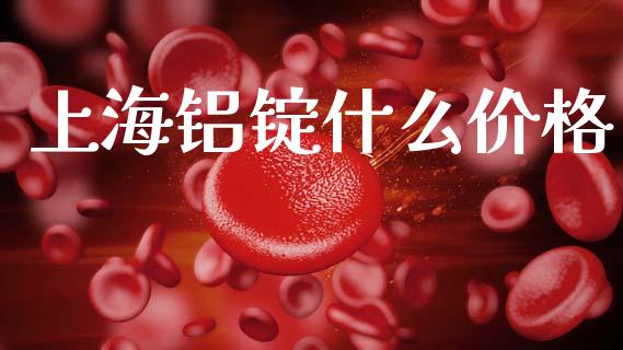 上海铝锭什么价格_https://cj002.lansai.wang_期货问答_第1张