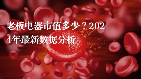 老板电器市值多少？2024年最新数据分析_https://cj002.lansai.wang_保险问答_第1张