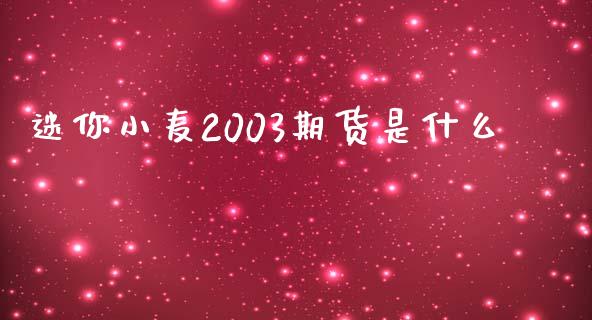 迷你小麦2003期货是什么_https://cj002.lansai.wang_股市问答_第1张