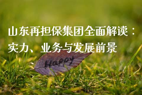 山东再担保集团全面解读：实力、业务与发展前景_https://cj002.lansai.wang_保险问答_第1张