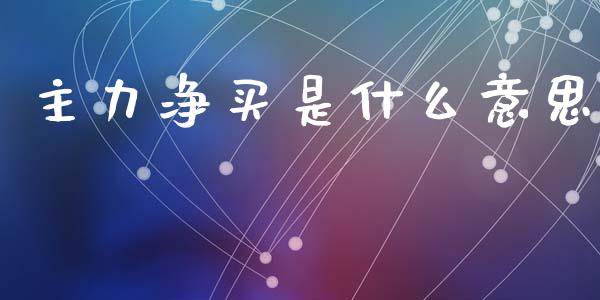 主力净买是什么意思_https://cj002.lansai.wang_股市问答_第1张