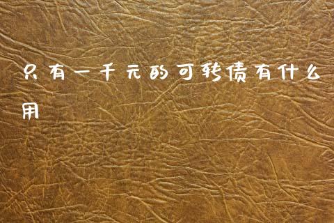 只有一千元的可转债有什么用_https://cj002.lansai.wang_财经百问_第1张