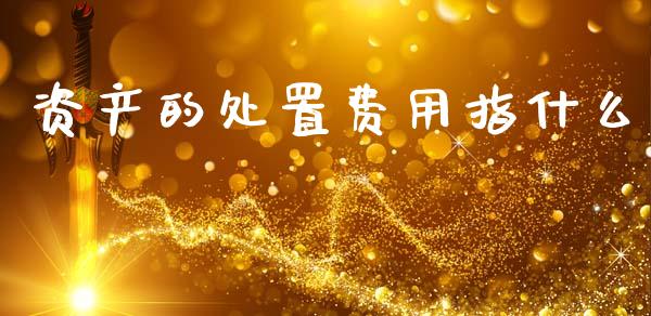 资产的处置费用指什么_https://cj002.lansai.wang_会计问答_第1张