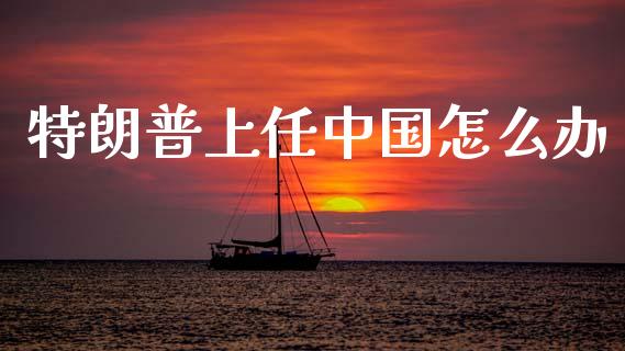特朗普上任中国怎么办_https://cj002.lansai.wang_期货问答_第1张