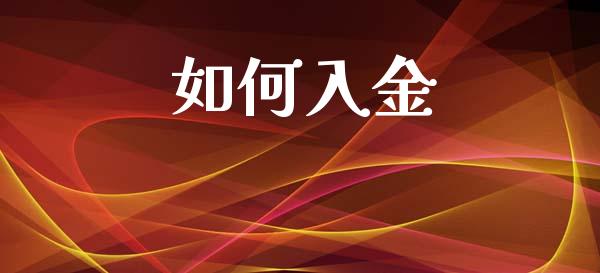 如何入金_https://cj002.lansai.wang_财经问答_第1张