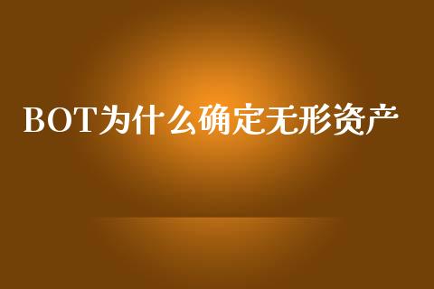 BOT为什么确定无形资产_https://cj002.lansai.wang_会计问答_第1张