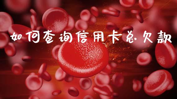 如何查询信用卡总欠款_https://cj002.lansai.wang_理财问答_第1张