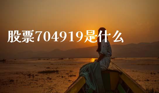 股票704919是什么_https://cj002.lansai.wang_股市问答_第1张