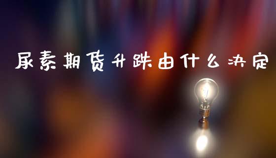 尿素期货升跌由什么决定_https://cj002.lansai.wang_理财问答_第1张
