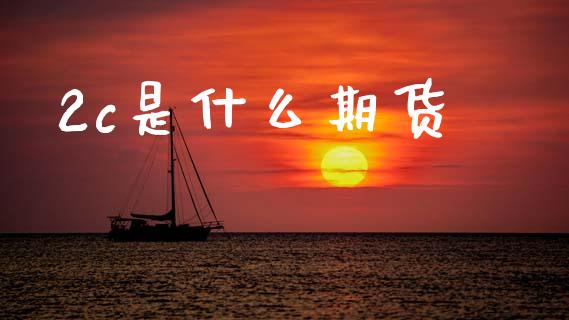 2c是什么期货_https://cj002.lansai.wang_股市问答_第1张