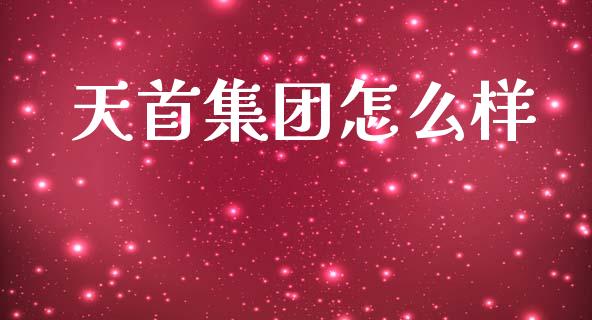 天首集团怎么样_https://cj002.lansai.wang_会计问答_第1张
