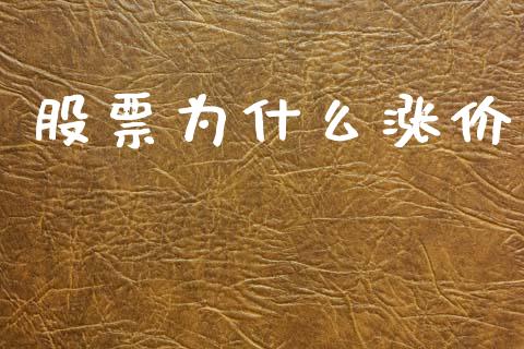 股票为什么涨价_https://cj002.lansai.wang_会计问答_第1张