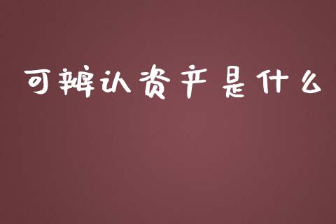 可辨认资产是什么_https://cj002.lansai.wang_会计问答_第1张