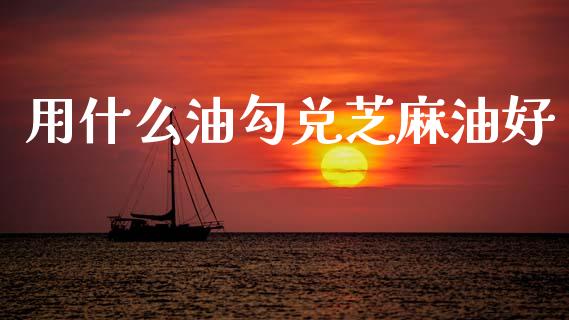 用什么油勾兑芝麻油好_https://cj002.lansai.wang_会计问答_第1张