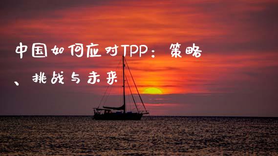 中国如何应对TPP：策略、挑战与未来_https://cj002.lansai.wang_股市问答_第1张