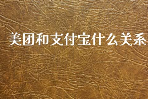 美团和支付宝什么关系_https://cj002.lansai.wang_财经问答_第1张