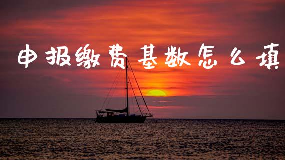申报缴费基数怎么填_https://cj002.lansai.wang_保险问答_第1张